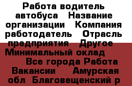 Работа водитель автобуса › Название организации ­ Компания-работодатель › Отрасль предприятия ­ Другое › Минимальный оклад ­ 45 000 - Все города Работа » Вакансии   . Амурская обл.,Благовещенский р-н